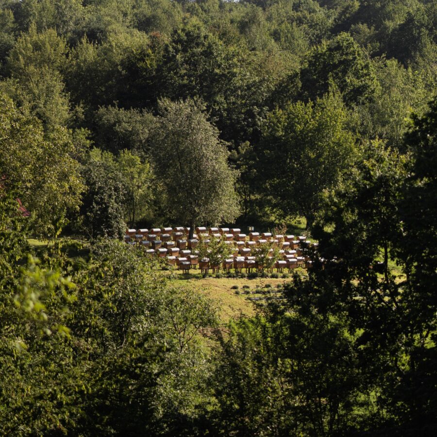 1.1